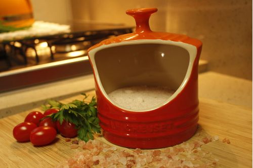 Porta Sal em Cerâmica 300ml Le Creuset Vermelho