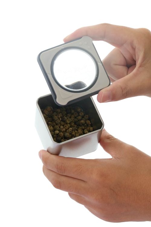 Porta Condimentos Magnéticos 7 Peças em Inox 60ml Kenya