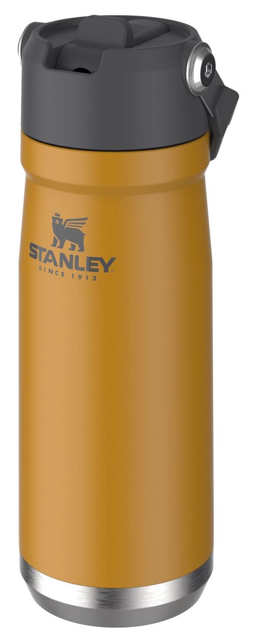 Garrafa Térmica Flip Straw em Inox Saffron 650ml Stanley