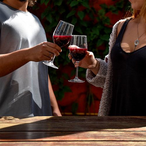 Taça para Vinho em Policarbonato Classic 350ml Kenya