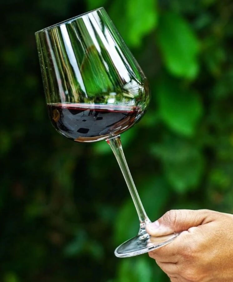 4089180223_6_Tacas_para_Vinho_em_Cristal_Ecologico_Ardea_540ml_Bohemia_6