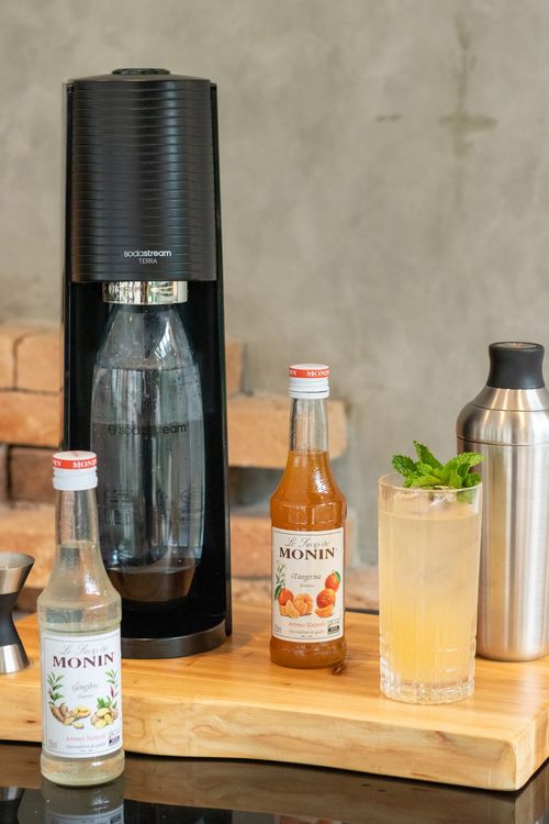 Xarope de Gengibre 250ml Monin