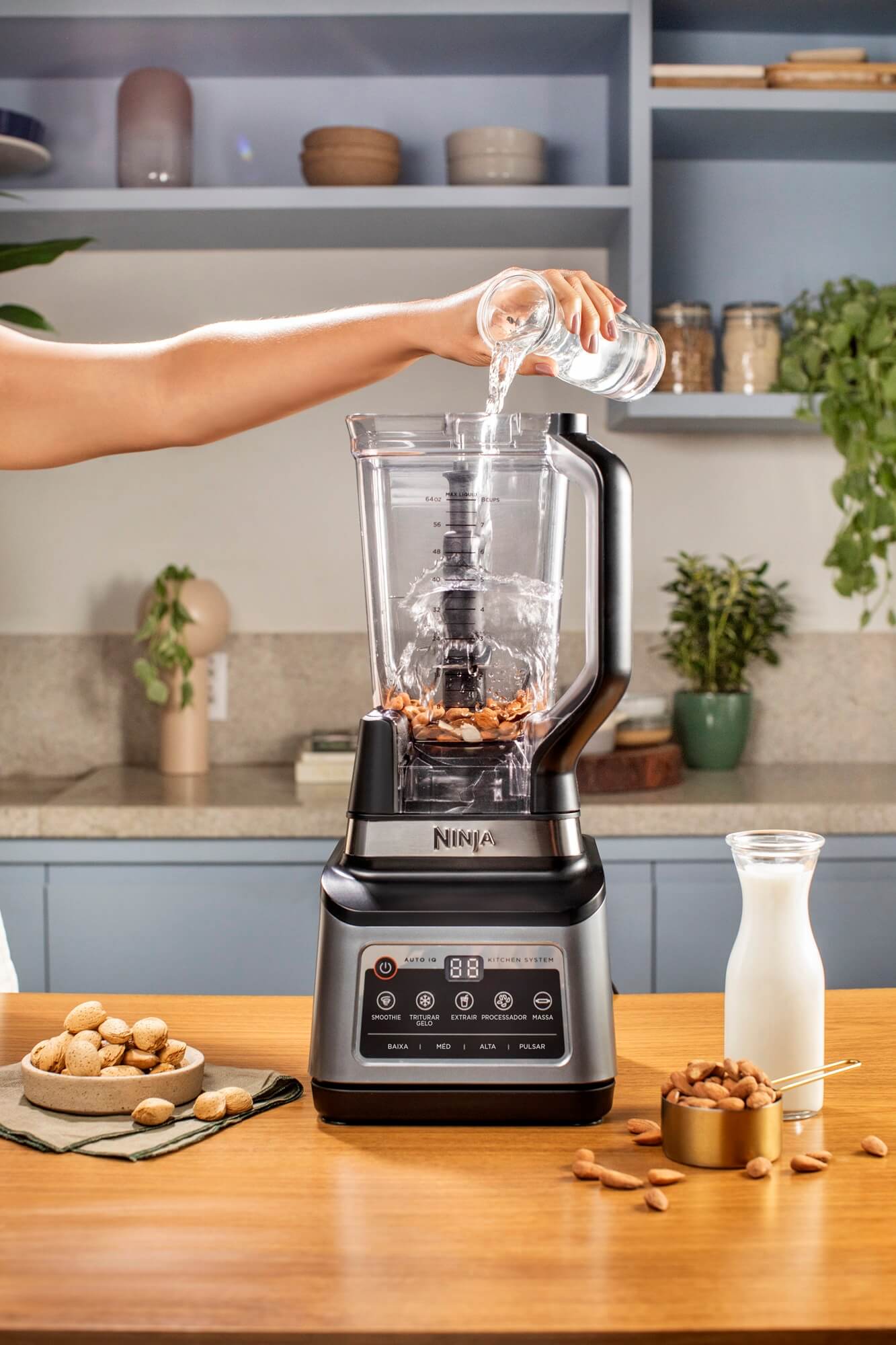 Liquidificador Kitchen System 127V Ninja - Spicy