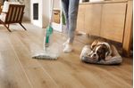 JPG-R_S1000_InUse_LivingRoom_Steam_Woman_Dog_Detail.jpg