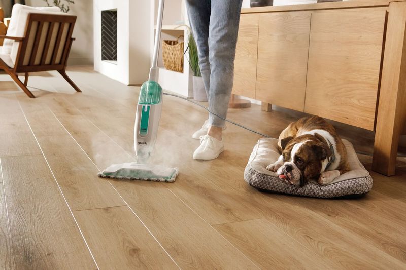 JPG-R_S1000_InUse_LivingRoom_Steam_Woman_Dog_Detail.jpg